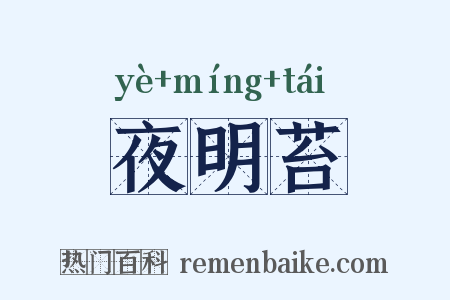 夜明苔是什么意思的图片